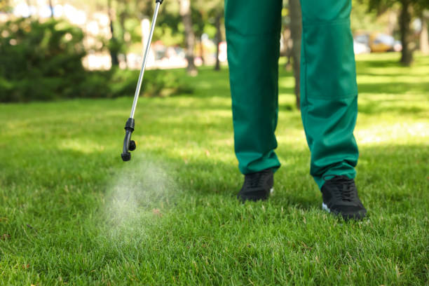 Best Local Pest Control Services  in Highland Park, TX