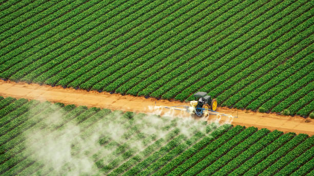 Best Commercial Pest Control Services  in Highland Park, TX