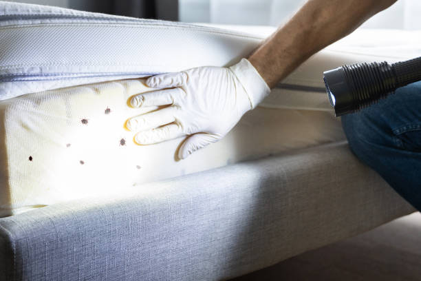 Best Pest Prevention Services  in Highland Park, TX