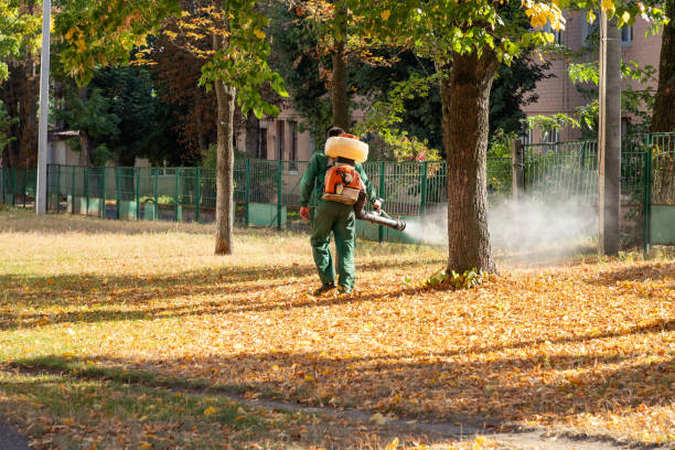 Best Pest Control Near Me  in Highland Park, TX