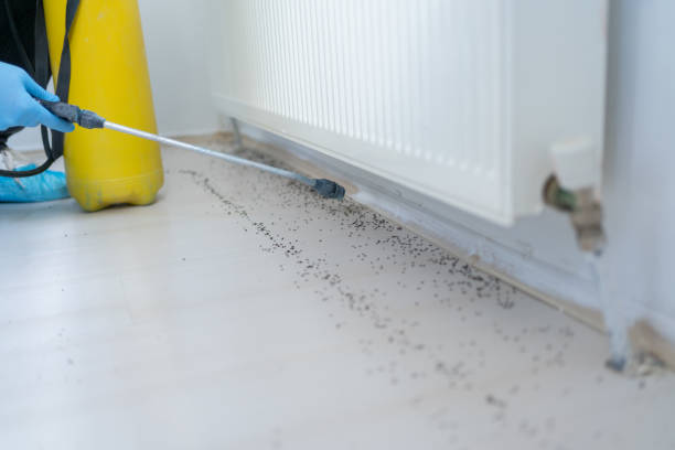 Best Best Pest Control Companies  in Highland Park, TX
