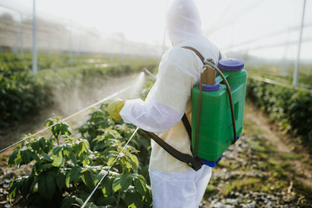 Best Commercial Pest Control Services  in Highland Park, TX